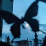 曲忆粥-投影工坊