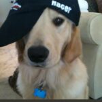 CHUNchun的头像-投影工坊