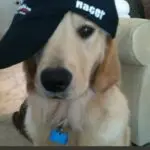 CHUNchun-投影工坊