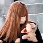 spicyuuu的头像-投影工坊