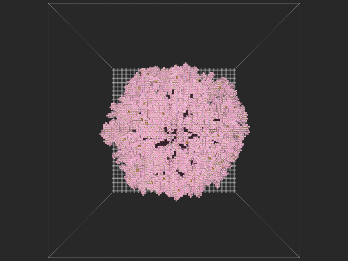 大型樱花树（转载）-投影工坊