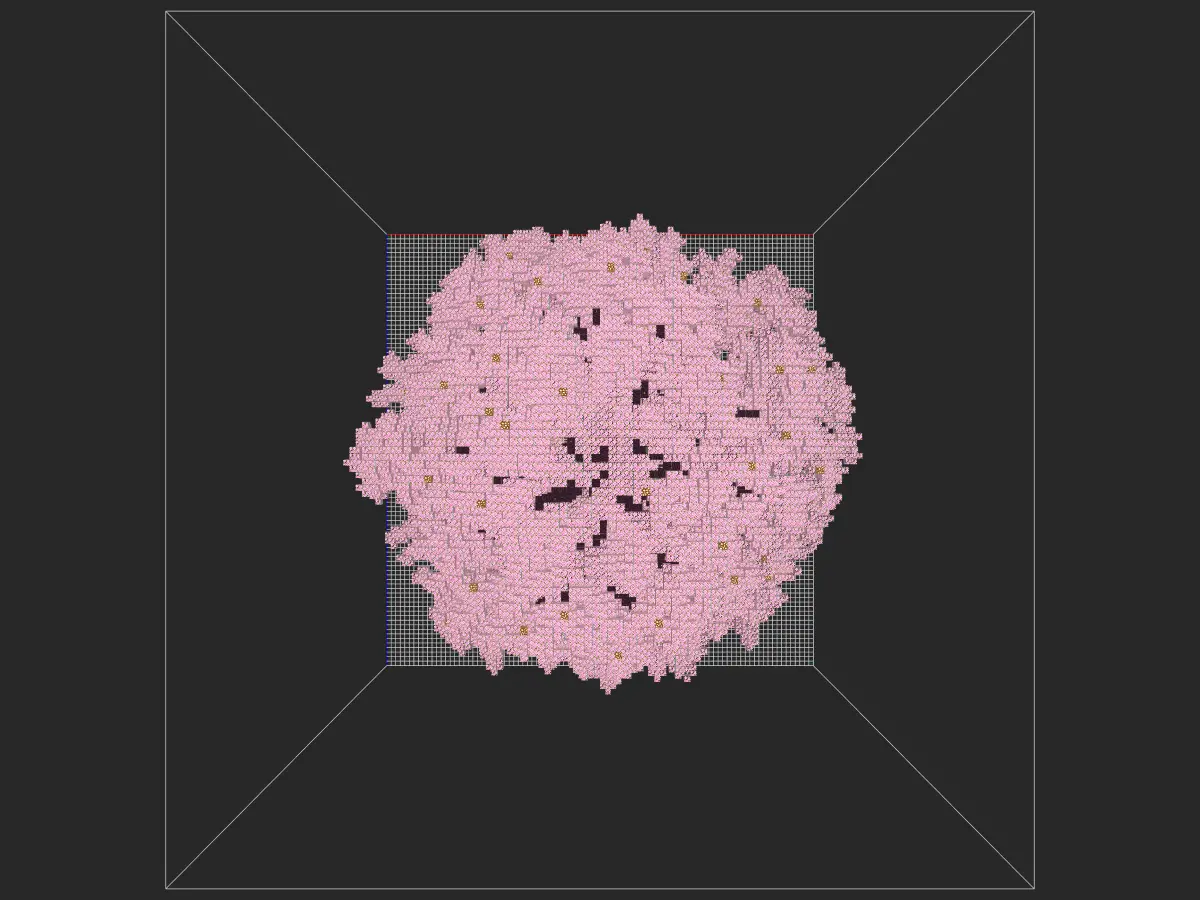 大型樱花树(转载)-投影工坊