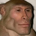 EVANGELIONUNIT的头像-投影工坊