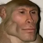 EVANGELIONUNIT-投影工坊