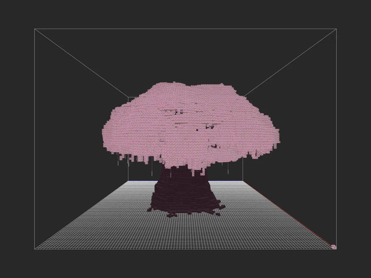 苦情树投影-投影工坊