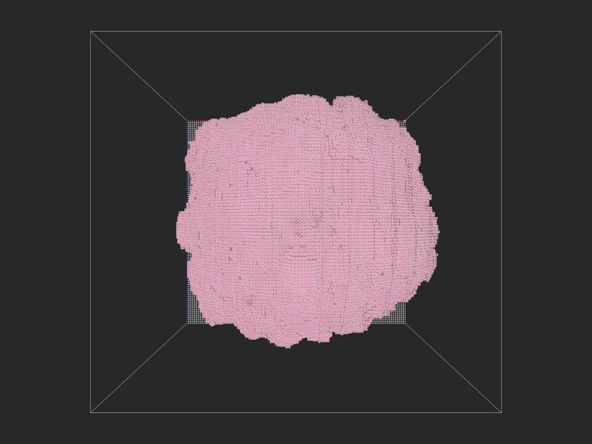 苦情树投影-投影工坊