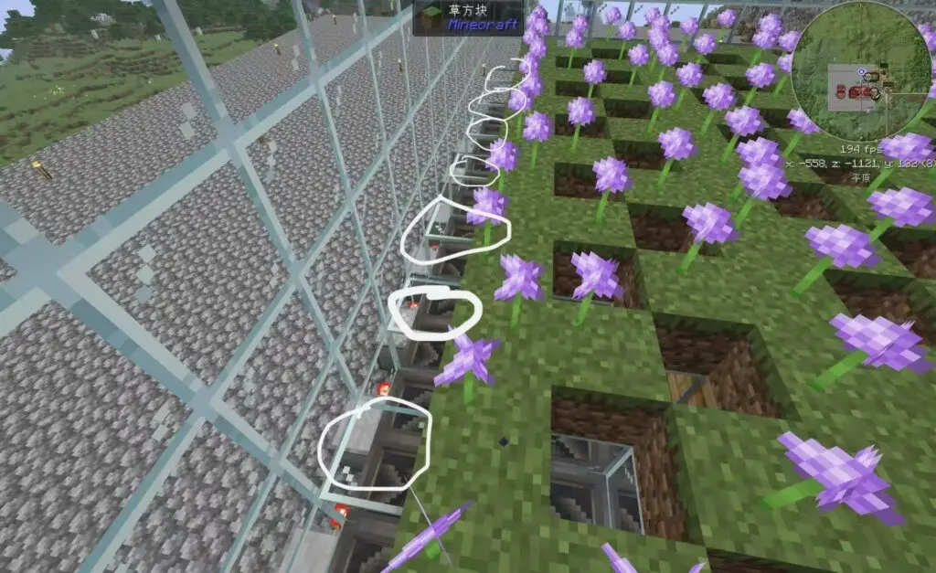 评论图片-投影工坊