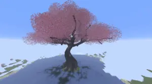 dy风枕眠-巨型樱花树-投影工坊