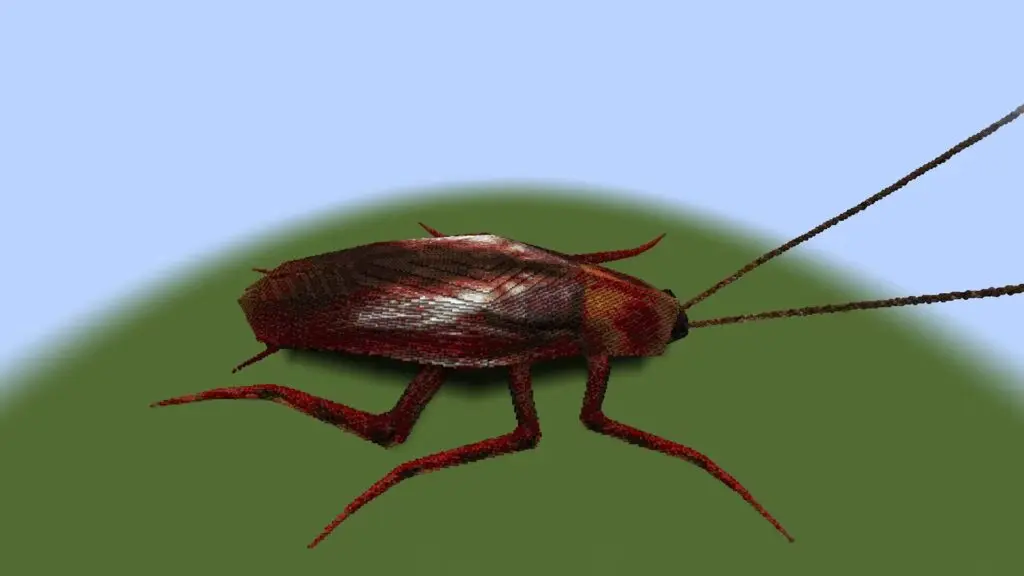 20260228185940662-5064FE4BF25F29BCBFA4FFBA6BD4C510