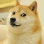 啊啊啊啊啊啊的头像-投影工坊