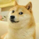 侯y辉的头像-投影工坊