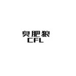 臭肥狼的头像-投影工坊