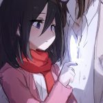 MIkasa_的头像-投影工坊