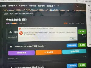 这是什么意思-投影工坊